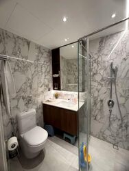 The Draycott (D10), Apartment #568284331